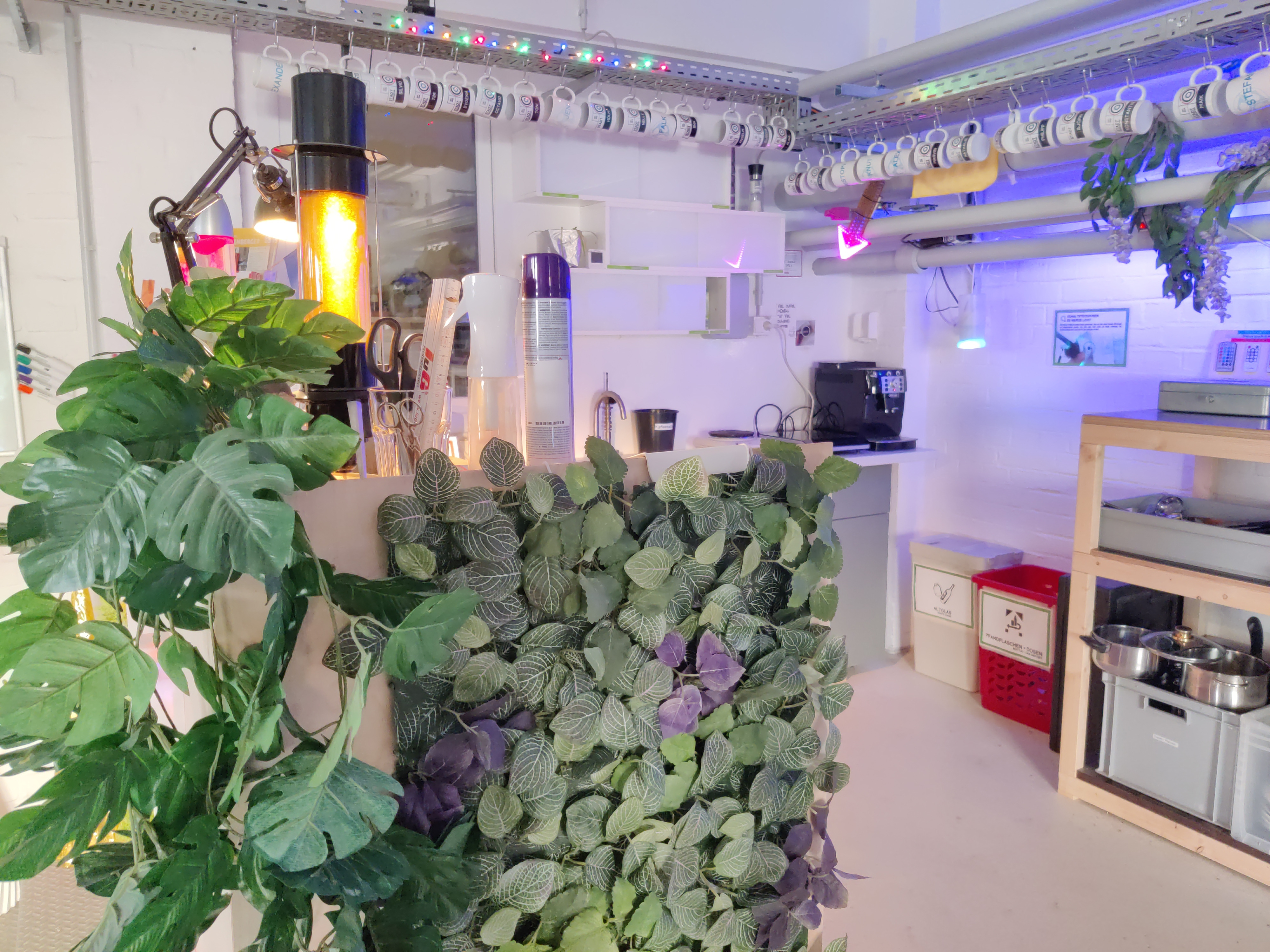 Lava lamps and greenery for a cozy atmosphere