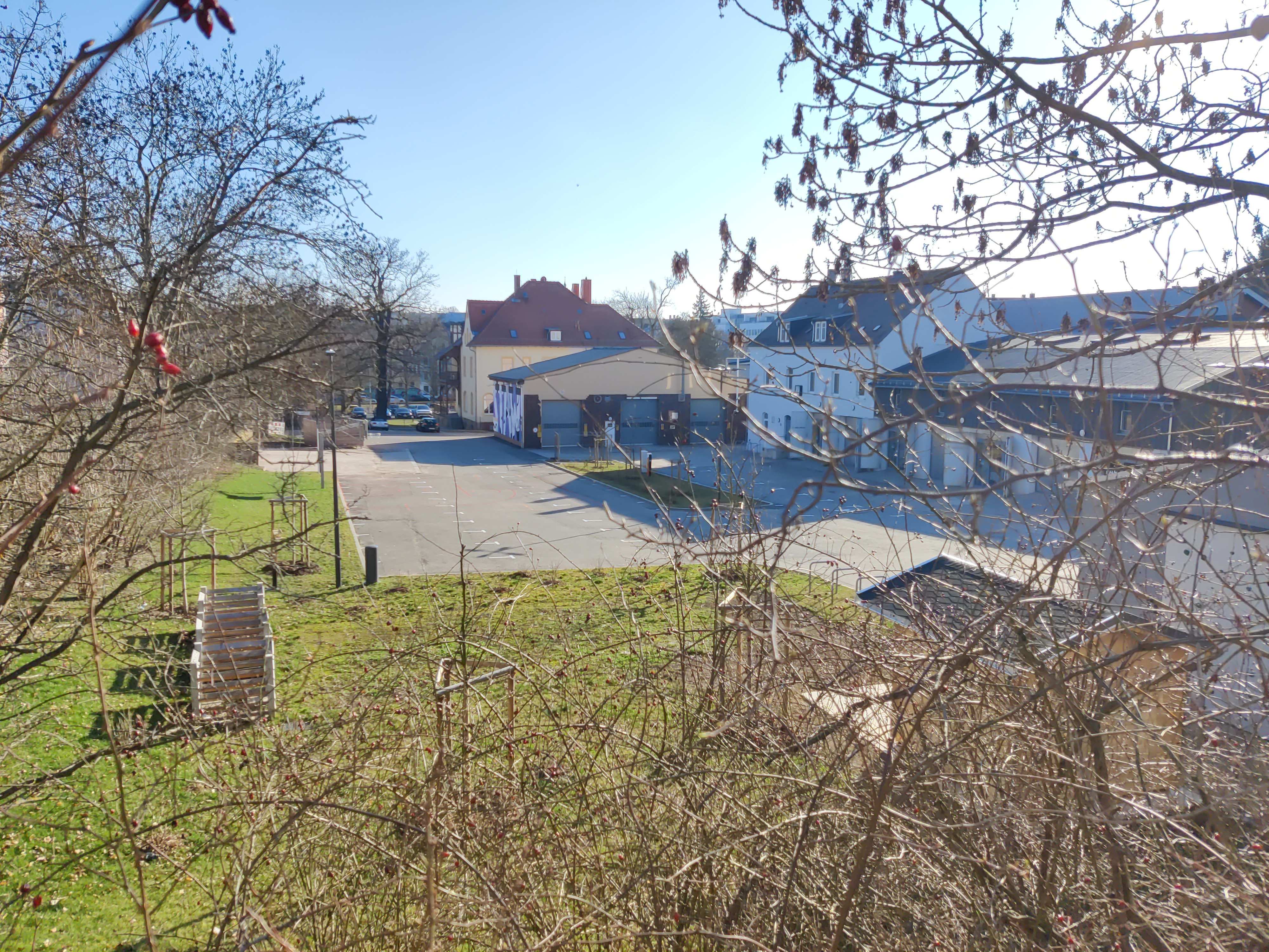 A look over the fence